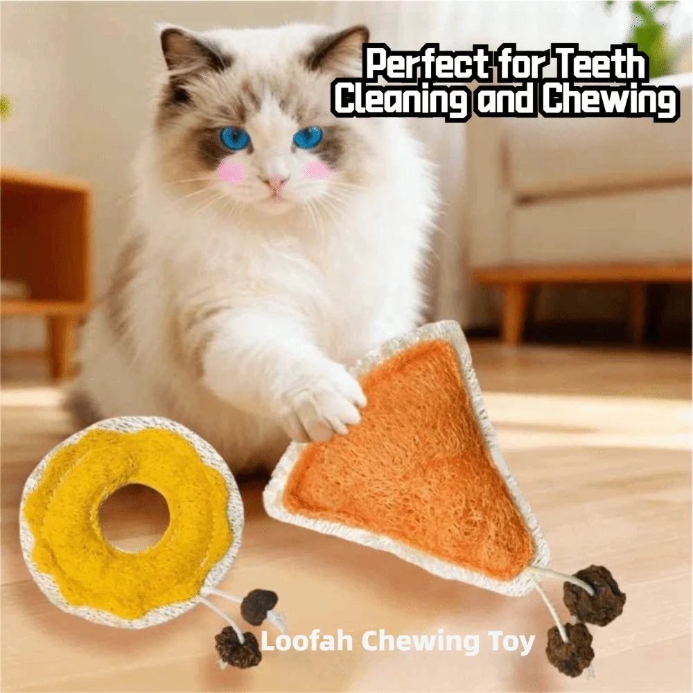 A fluffy white cat is sitting next to an orange loofah chewing toy with catnip.