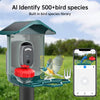 Caméra d'alimentation pour oiseaux à énergie solaire avec un bol rouge et un oiseau bleu, installée à l'extérieur.
