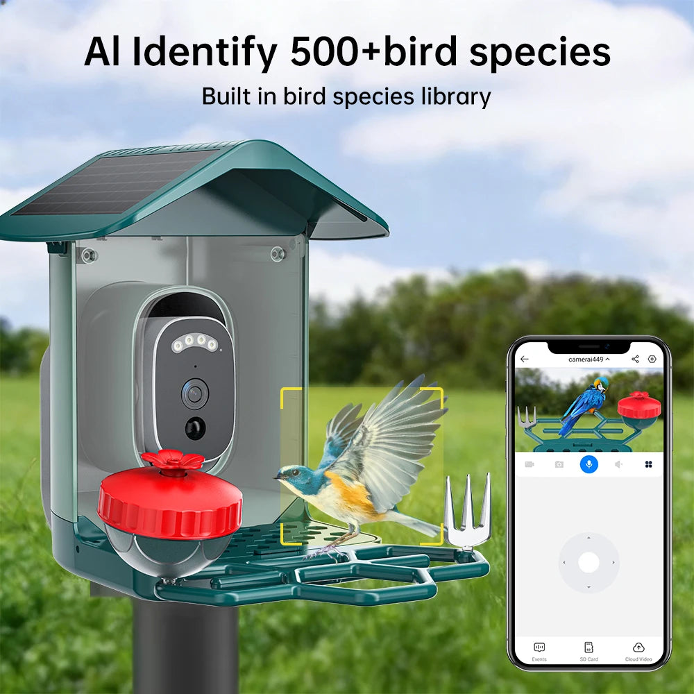 Caméra d'alimentation pour oiseaux à énergie solaire avec un bol rouge et un oiseau bleu, installée à l'extérieur.