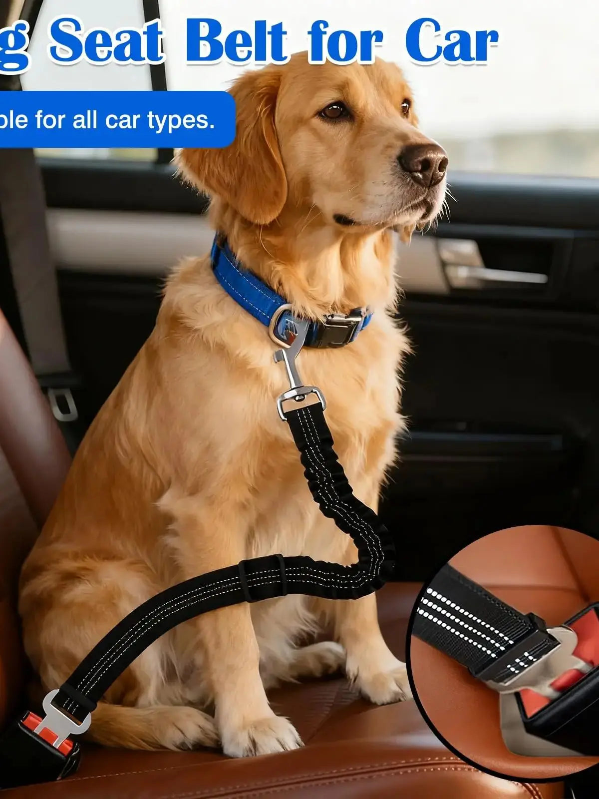 A golden retriever wearing a blue dog car safety belt with a black harness and reflective strip sitting in a car seat.