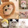 Eine Sammlung lustiger Tierhüte für Katzen, darunter eine flauschige braune Mütze und rosa Strickmützen.