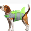 A brown and white dog wearing a bright lime green buoyancy life jacket for swimming.