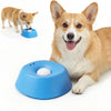 Un perro Shiba Inu peludo interactuando con un cuenco comedero lento de esfera azul para perros.