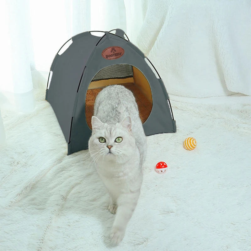 A fluffy gray cat is looking out of a dark gray foldable pet tent on a white, furry surface.