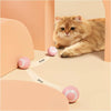 A fluffy orange cat is interacting with pink cat balls in a light-colored, stylized environment.