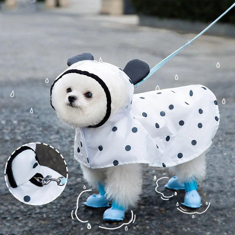 Un cachorro blanco de perro vistiendo un impermeable impermeable con lunares negros, parado afuera bajo la lluvia.