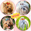 Four images showing various cute handmade bows in different colors and styles for dogs and cats
