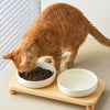 A fluffy orange cat is eating from a white ceramic bowl placed on a wooden stand.