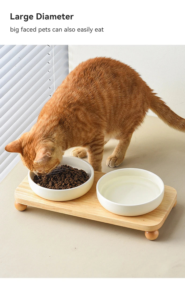A fluffy orange cat is eating from a white ceramic bowl placed on a wooden stand.