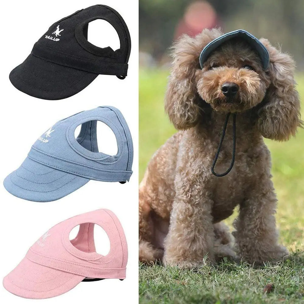 Un caniche marrón vistiendo una gorra de béisbol oscura y una gorra ajustable para mascotas azul claro
