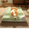 An orange and white dog is resting on a green orthopedic memory foam dog bed on a brown carpet.