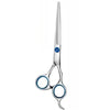 Professional stainless steel pet grooming scissors set with blue accents