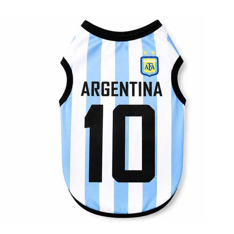 Argentina national football team jersey vest with light blue and white vertical stripes and the number 10