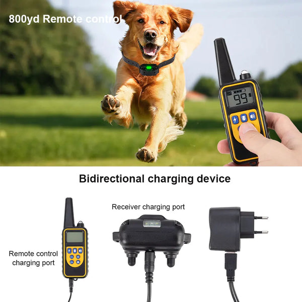 A dog wearing a training collar runs in a grassy field next to a handheld bidirectional charging device.