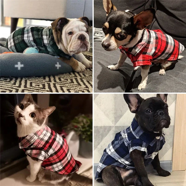 A collage showing several dogs wearing plaid clothing vests.
