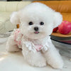 A fluffy white dog wearing a floral print vest sitting on a marble surface.