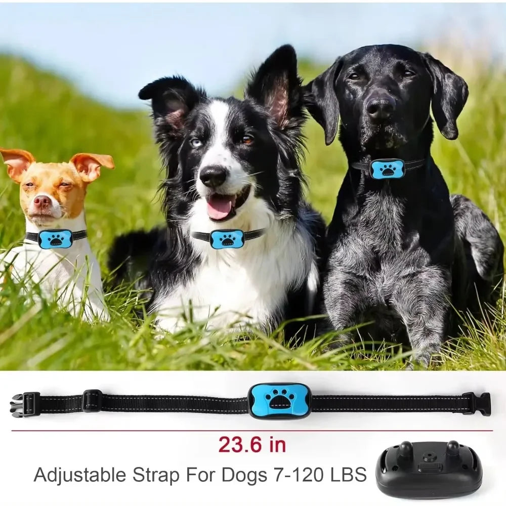 An adjustable strap for dogs, shown next to three dogs in a grassy field.