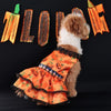 An orange pumpkin lace dress pet costume for a small dog, featuring carved pumpkin decorations.