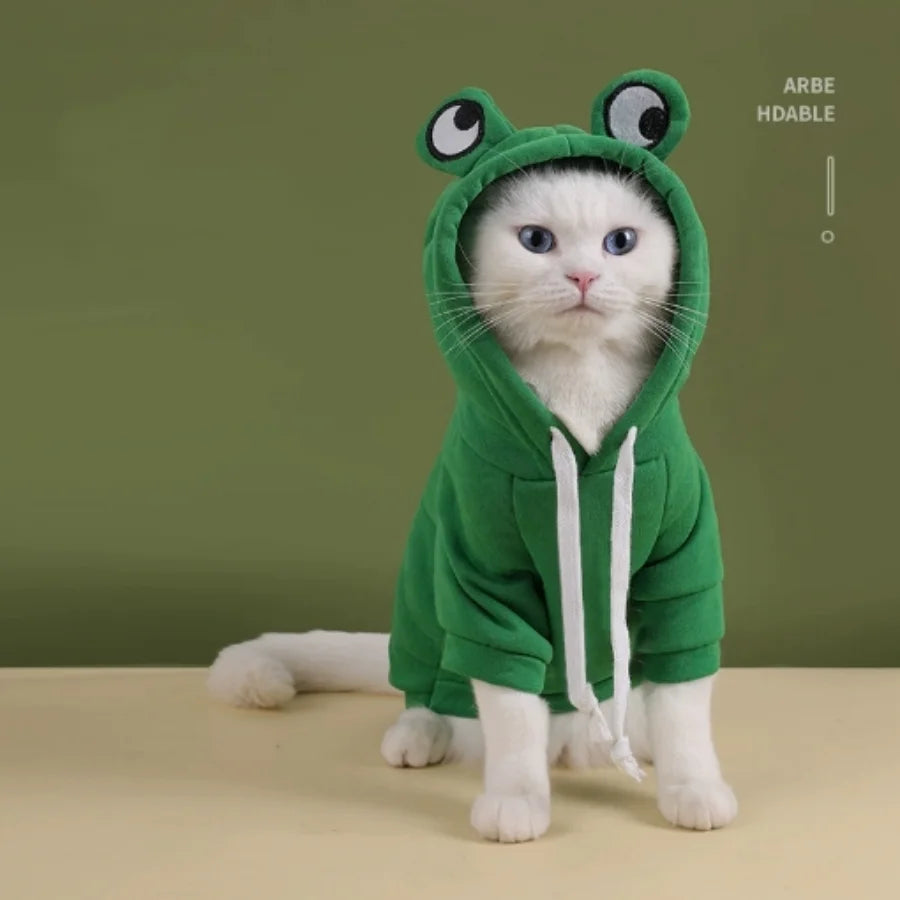 A white cat wearing a green frog-themed hoodie with large eyes sitting on a light surface.