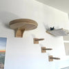 A wall-mounted cat tree featuring a round perch, scratching stairs, and a hammock, mounted on a white wall.