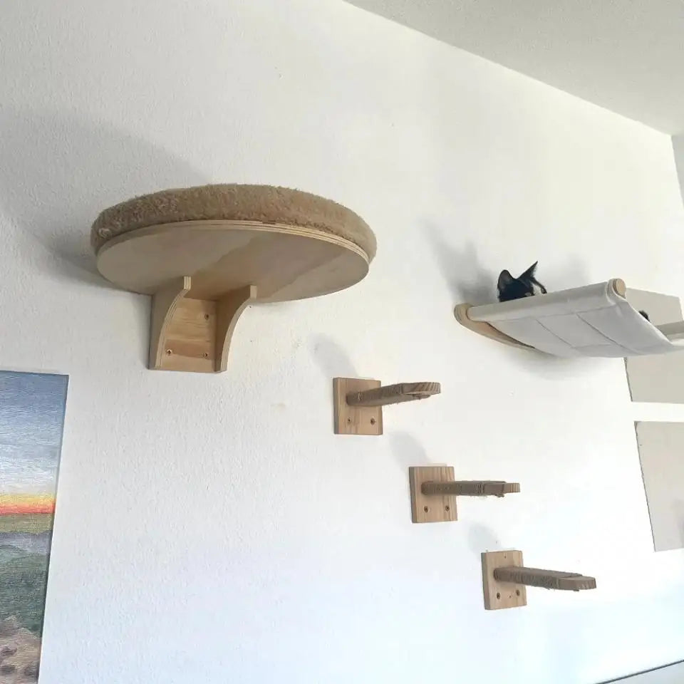 A wall-mounted cat tree featuring a round perch, scratching stairs, and a hammock, mounted on a white wall.