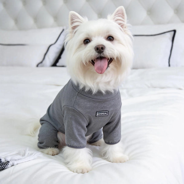A white dog wearing a gray cozy pajama top lying on a white bed.