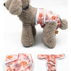 A fluffy dog wearing reusable female physiological panties in pink and orange floral patterns.