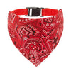 Rote Bandana mit weißem Paisley-Muster, befestigt an einem schwarzen verstellbaren Kragenband
