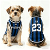 A small dog wearing a blue and black striped tank top for summer walks.