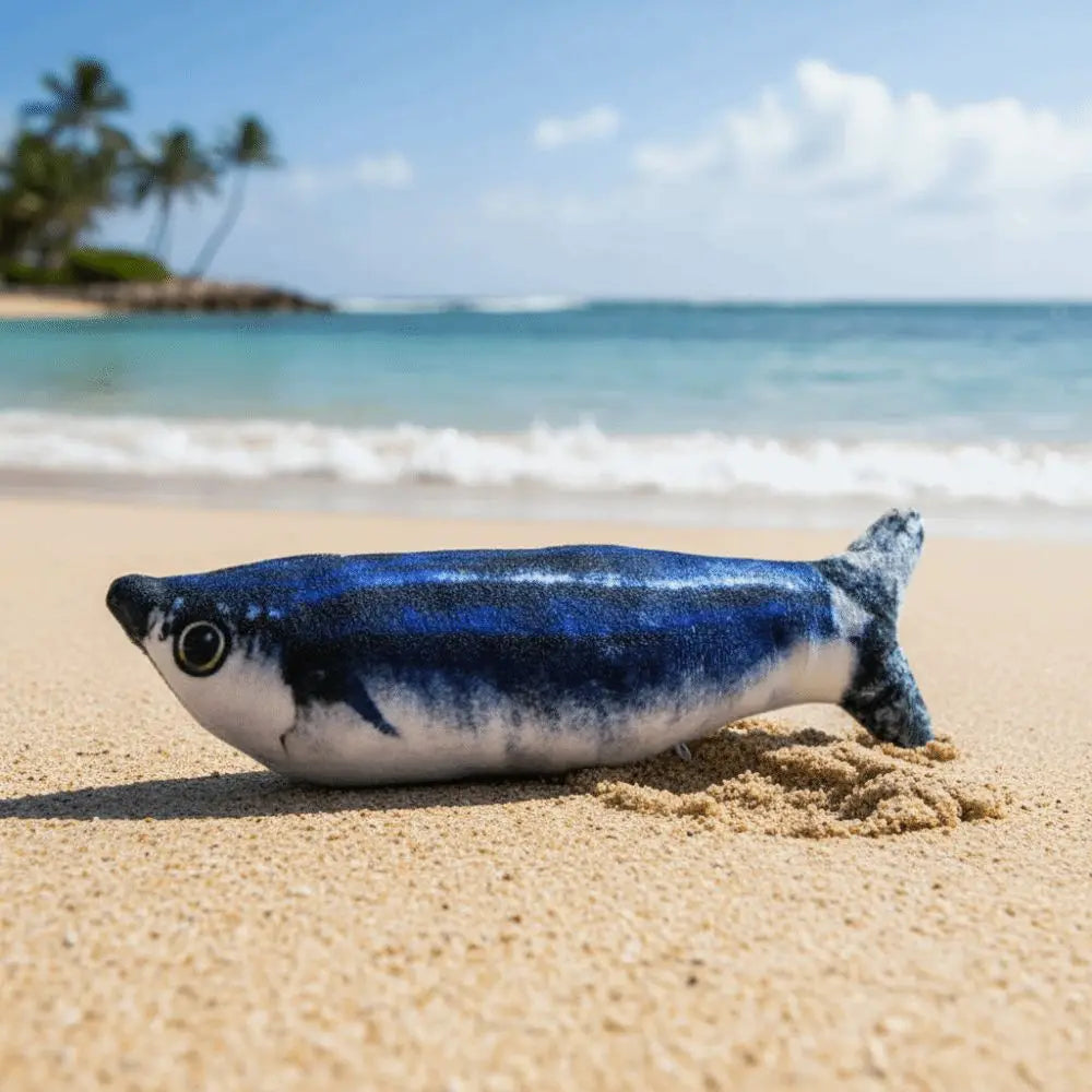 Ein blau-weißes Elektrofischspielzeug liegt auf einem Sandstrand in der Nähe des Ozeans.