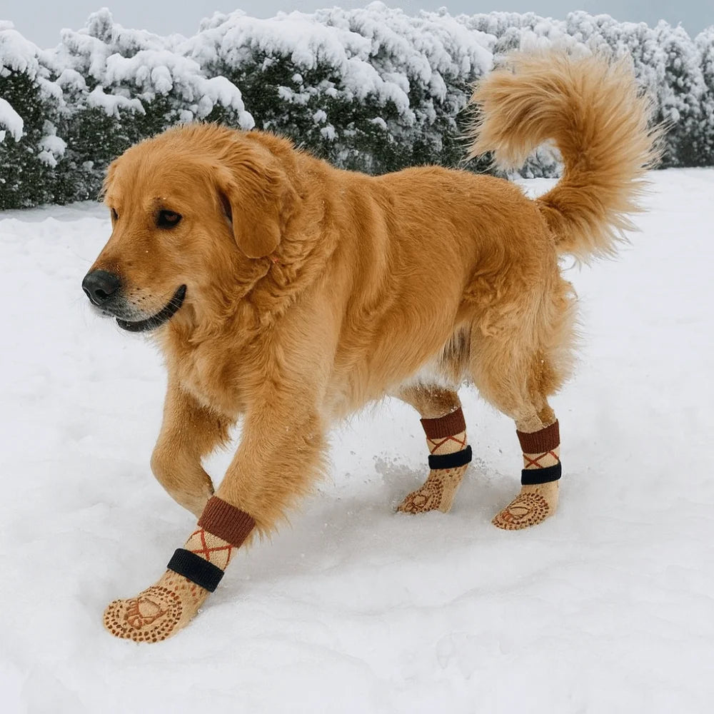 A golden retriever wearing anti-slip knitted dog socks standing in the snow.
