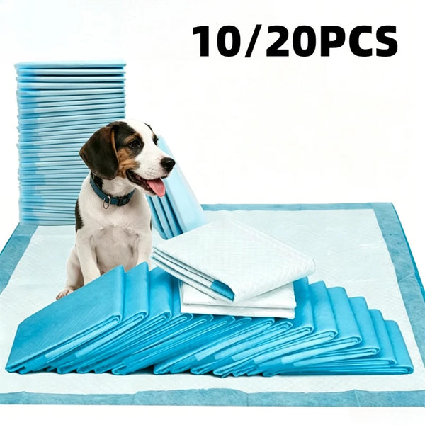 Un chien regarde une pile de tapis d'entraînement pour pipi ultra-absorbants bleus sur une surface bleu clair.