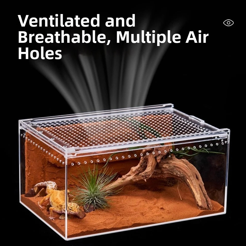 Boîte d'habitat pour reptiles en acrylique transparent avec plusieurs trous d'aération, substrat sec et bois flotté.