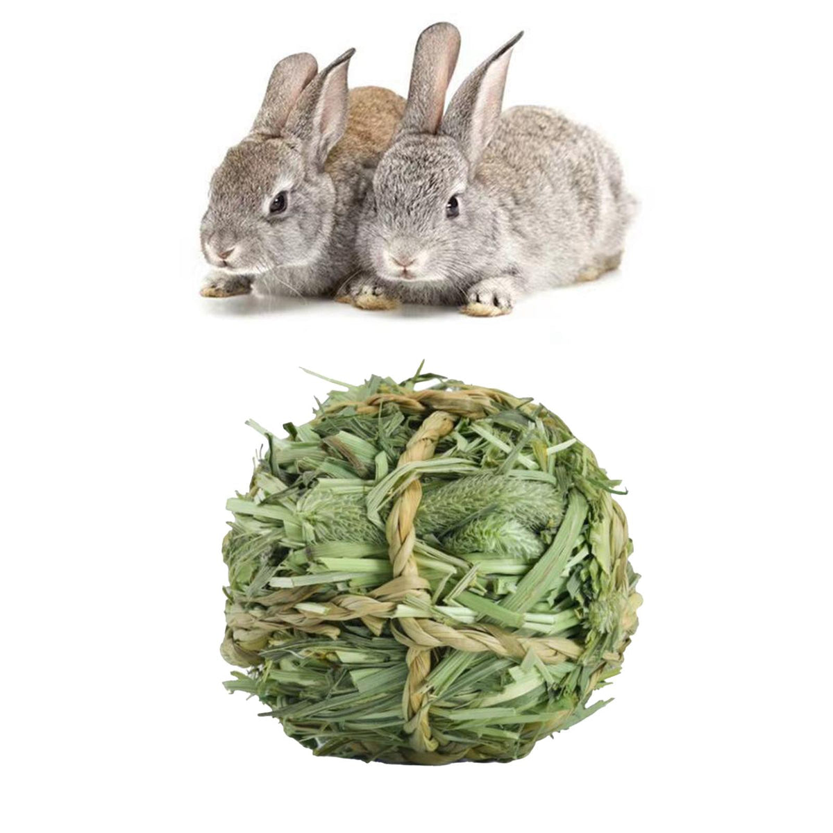 Zwei graue Kaninchen sitzen neben einem Timothy-Gras-Kaugummi für Kleintiere