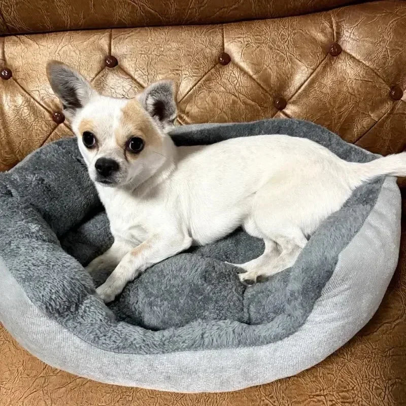 Ein kleiner weißer Hund ruht in einem grauen ultraleichten Baumwollhundbett auf einer braunen Lederoberfläche.