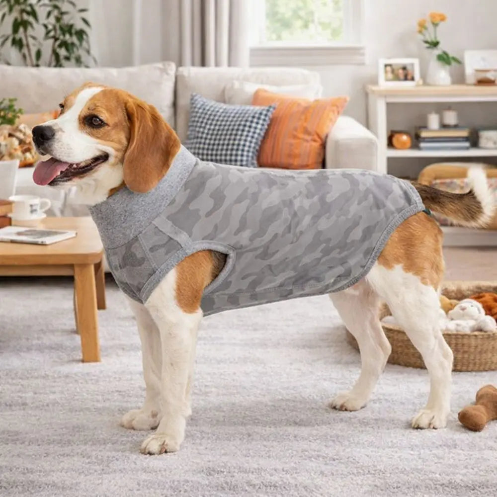 Ein Hund in einem grauen Tarnweste steht auf einem hellen Teppich drinnen.