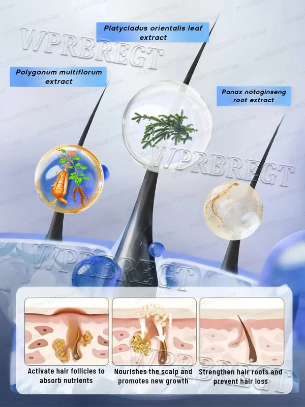 A visual representation of WPRBREGT extract and a hair growth spray targeting hair follicles and new growth.
