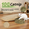 A white cat is interacting with a beige rope material cat scratcher toy and loose catnip on a wooden floor.