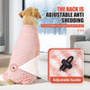 Traje de recuperación de invierno con rayas rosas para perro, con hebilla ajustable, junto a una ventana.