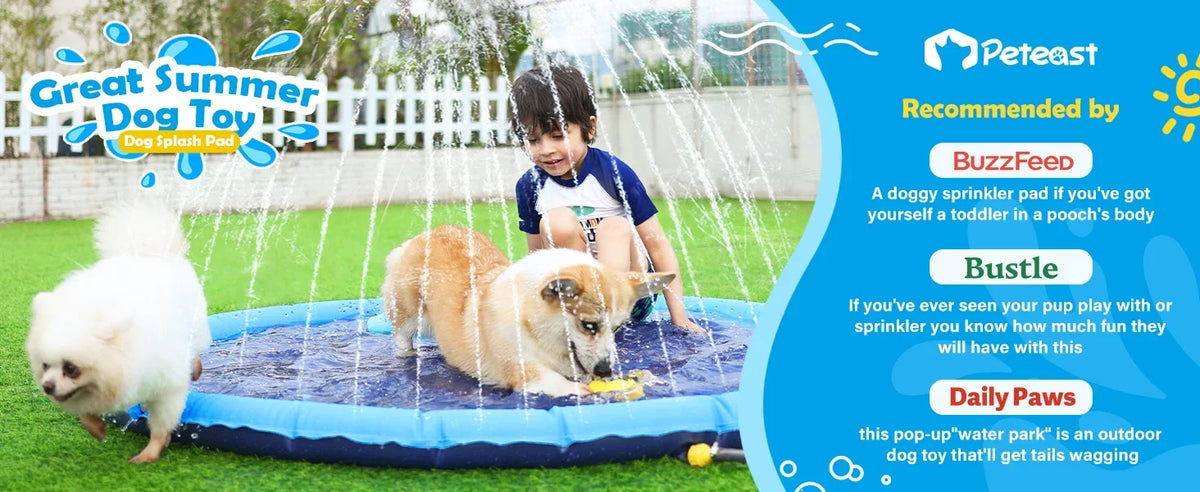 A dog is playing in a blue inflatable splash pad with water spraying, recommended by Peteast.