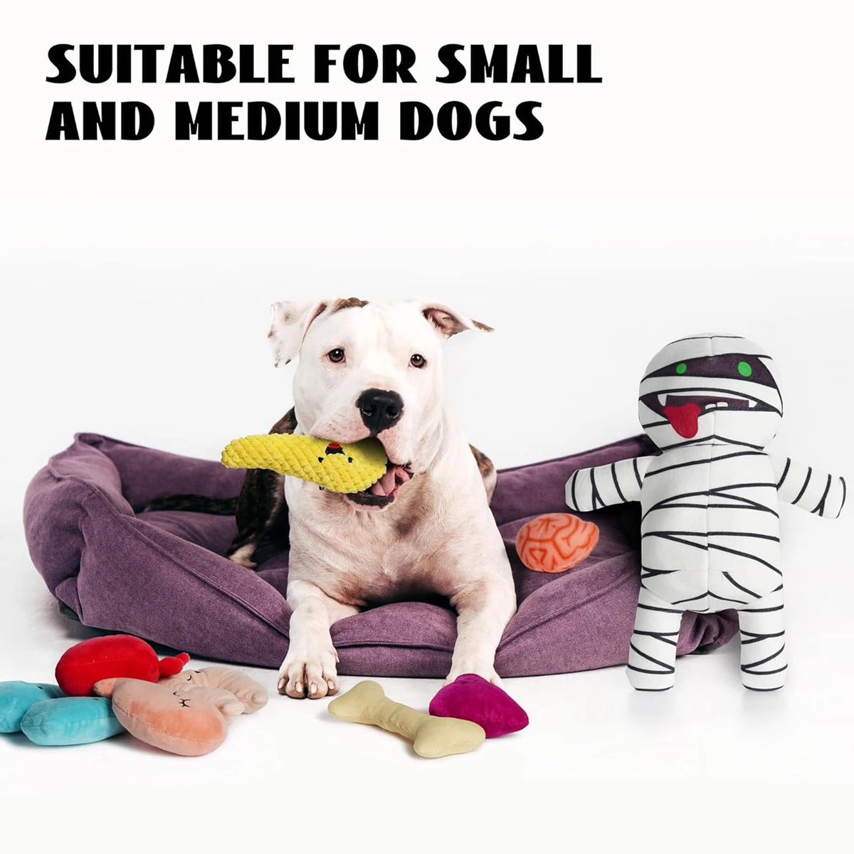 A white dog sits next to a stuffed zombie mummy toy and various dog chew toys on a purple mat.