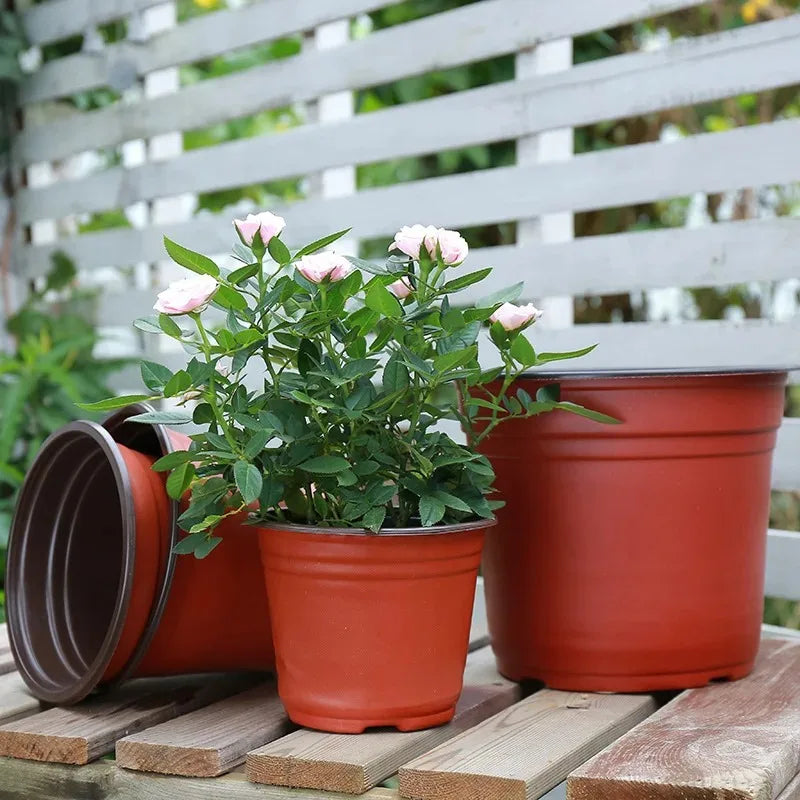 A set of terracotta nursery pots for seedlings and succulents resting on a wooden surface.