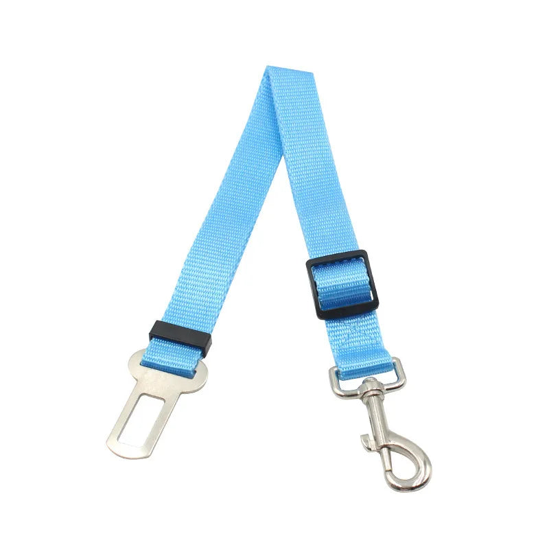 Light blue retractable dog car seatbelt tether with a metal clip and buckle.