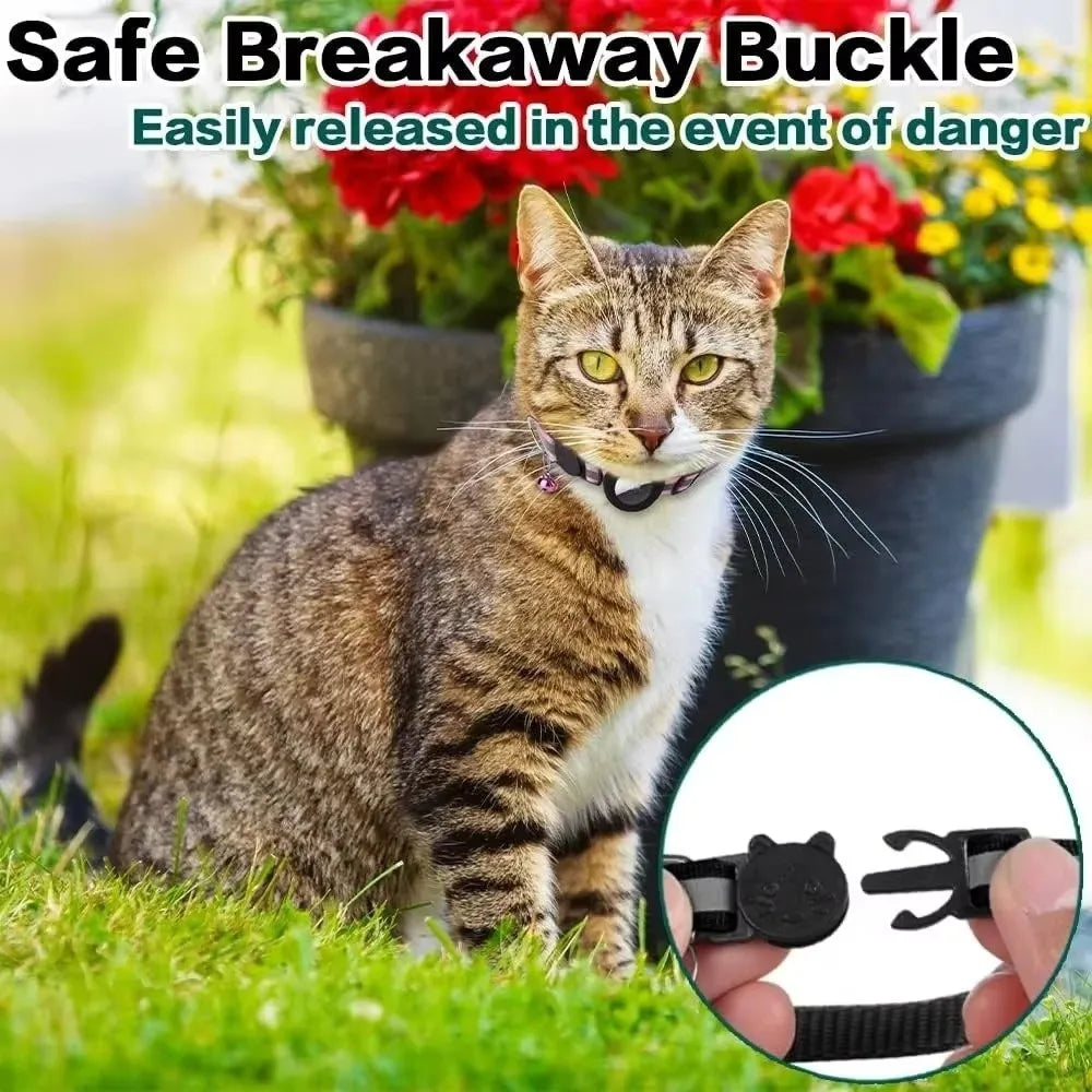 Gato atigrado con collar rastreador de seguridad y hebilla para mascotas, primer plano del mecanismo.