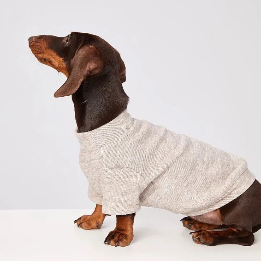 A brown and black dog wearing a light gray cozy winter sweater.