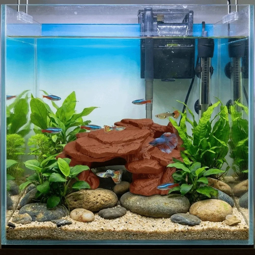 A clear aquarium featuring a rockery landscape with aquatic plants and fish.