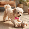 A light beige waffle knit dog sweater with a pink bow tie worn by a small, fluffy dog.