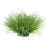 Un touffe de gramin d'oignon simulé, décoration miniature de jardin vibrante verte