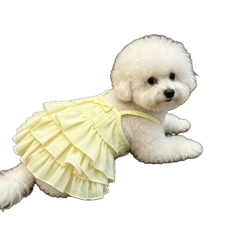 A fluffy white poodle wearing a yellow ruffled summer strap dress.