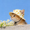 An orange tabby kitten wearing a yellow duck print pet cap, looking towards the camera against a blue sky.